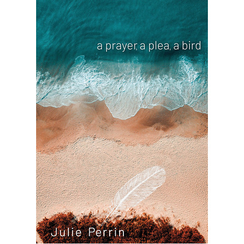 A Prayer, a Plea, a Bird